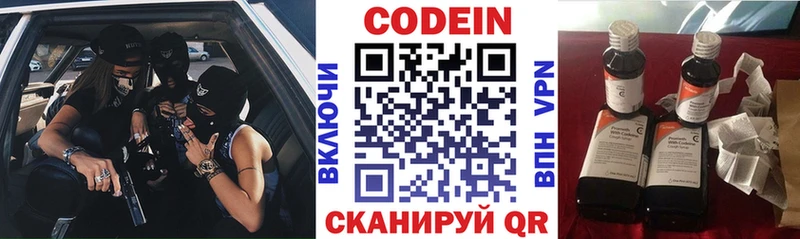 дарнет шоп  ссылка на мегу ссылки  Кодеиновый сироп Lean Purple Drank  Карачаевск 