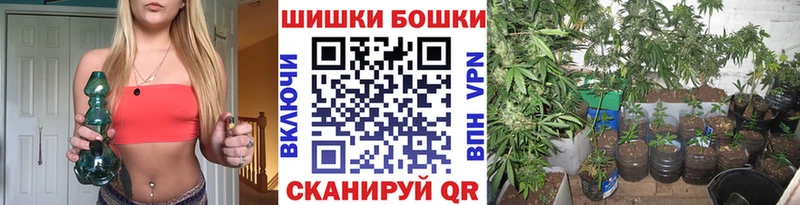 где продают   Карачаевск  Каннабис MAZAR 